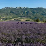 Les Nuits Du Taris 4* Bourdeaux